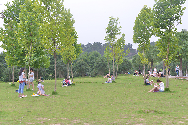 【期末映像】学风浓郁满校园